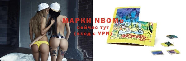 прущие грибы Алзамай