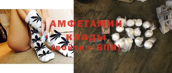 прущие грибы Алзамай