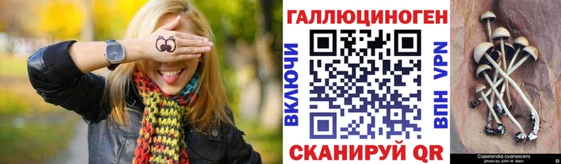 Псилоцибиновые грибы мицелий  Темрюк 